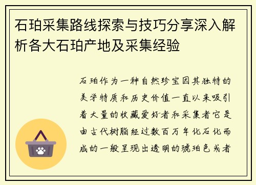 石珀采集路线探索与技巧分享深入解析各大石珀产地及采集经验