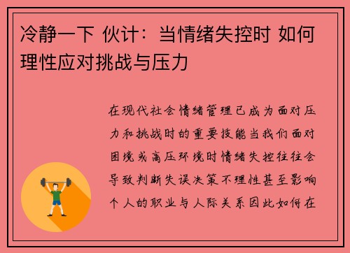 冷静一下 伙计：当情绪失控时 如何理性应对挑战与压力